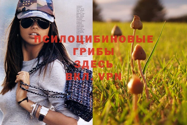 экстази Нея
