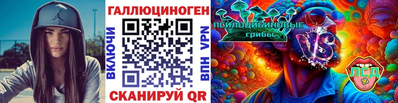 Псилоцибиновые грибы Cubensis Новое Девяткино